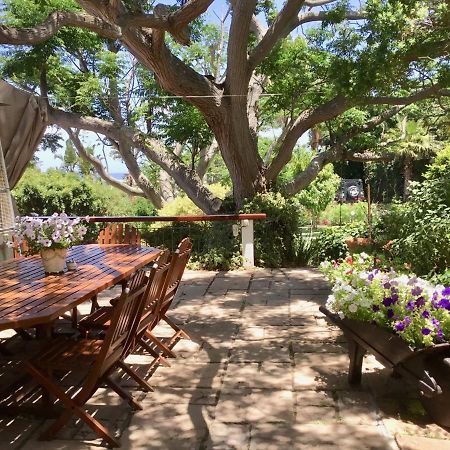 Oceangolf Guest House نوردهوك المظهر الخارجي الصورة