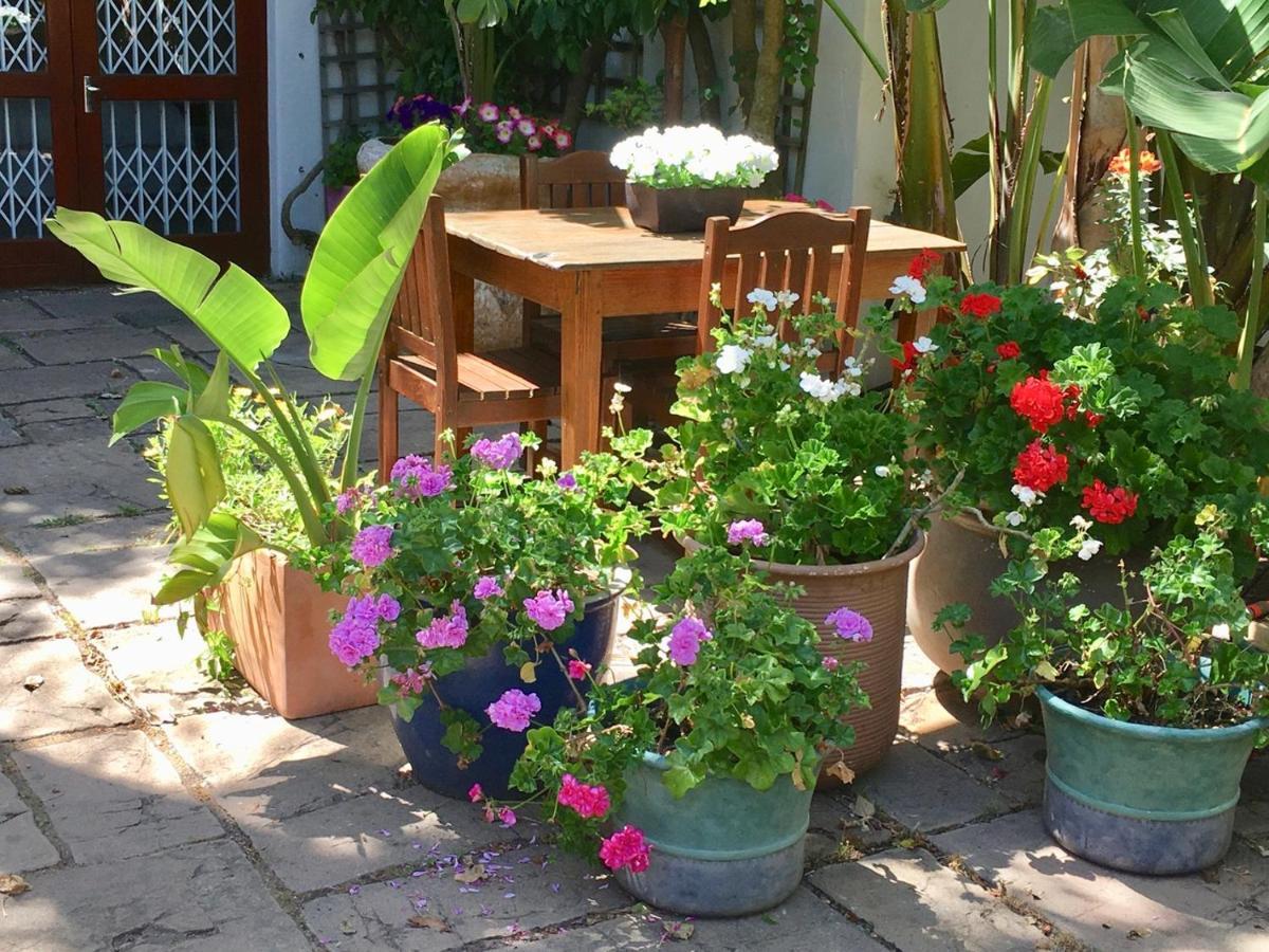 Oceangolf Guest House نوردهوك المظهر الخارجي الصورة